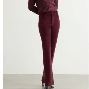 Dynamite Helena Velvet Demi Bootcut Pants Port Royale